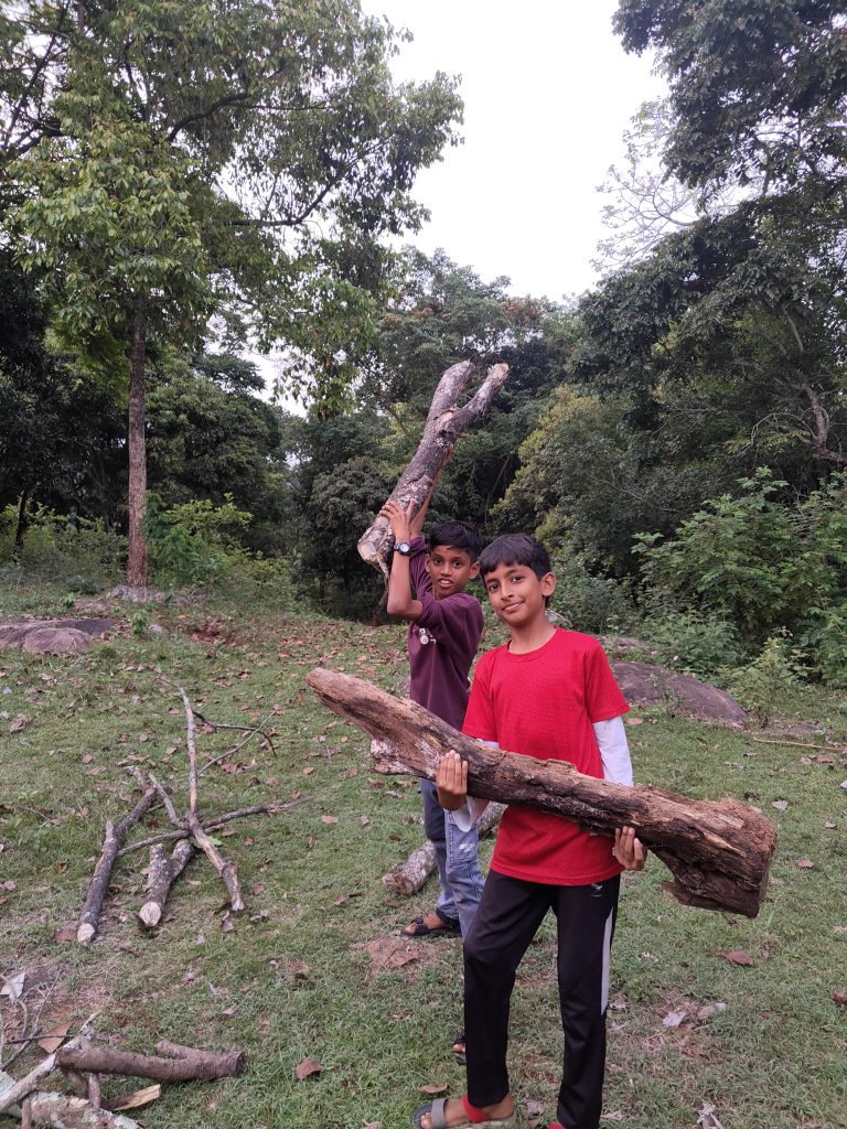 Wildwood Survival
