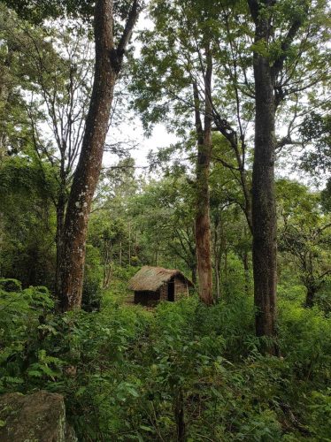 494926133_29265426326434125_1082605417926087606_n