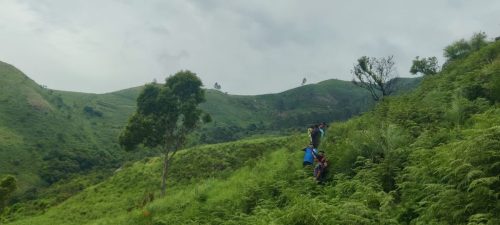 WhatsApp Image 2026-02-17 at 10.13.03