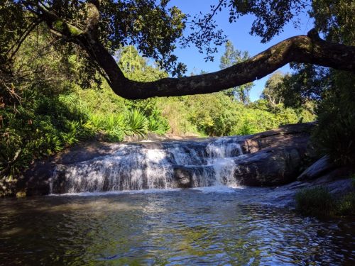 485389836 28760239293619500 6891075074160520584 n