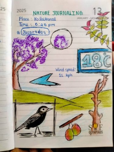 513078167 30077818055194944 8779297027676298997 n