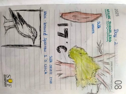 513460147 30077817938528289 4455827482541481597 n