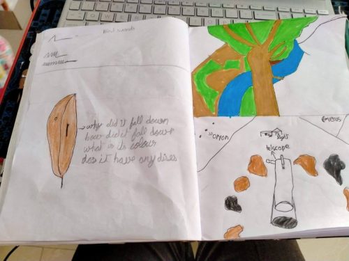 513599037 30077817918528291 7954168332560576275 n