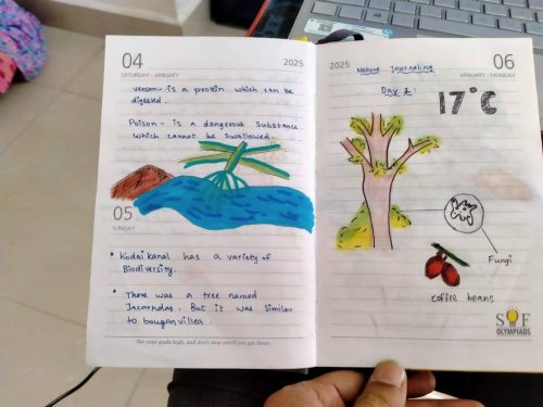 513756212 30077817851861631 439064204395559799 n