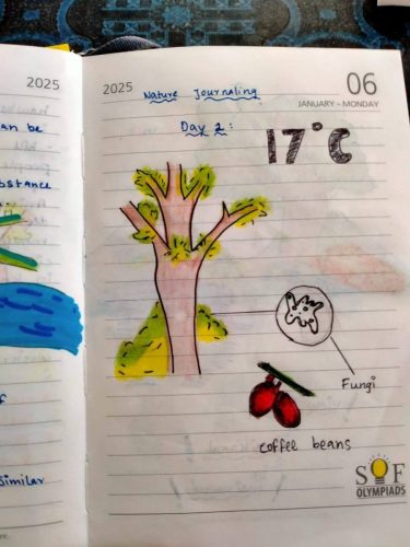 513879588 30077818035194946 702874298162112601 n