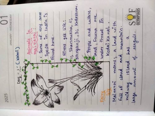 514589689 30077817965194953 5702967972395041958 n